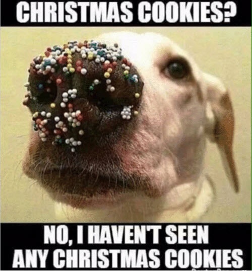 christmas cookies pup (1).jpg